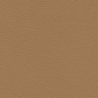 Baticknew caramel
